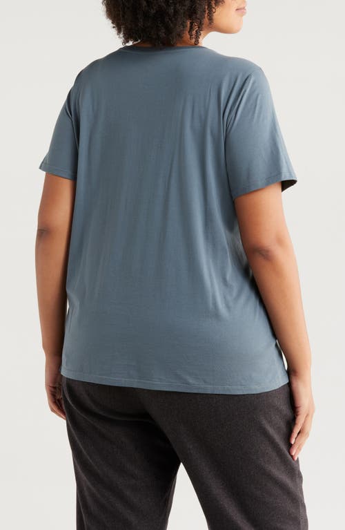 Shop Eileen Fisher Crewneck Organic Cotton T-shirt In Eucalyptus