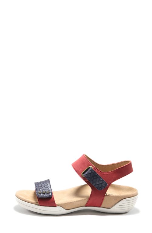 Halsa Footwear Hälsa Footwear Dominica Sandal In Dark Red/navy Leather