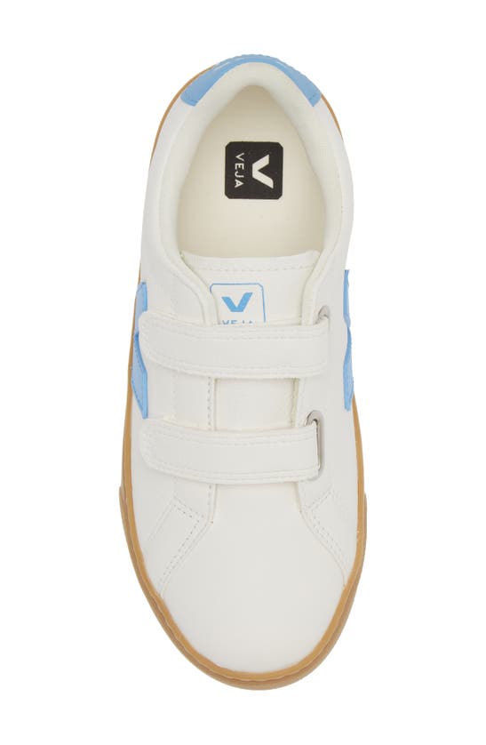 Shop Veja Kids' Esplar Sneaker In Extra White/ Aqua/ Natural