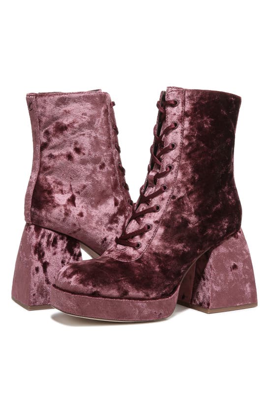 Circus Ny Kia Block Heel Bootie In Red Currant