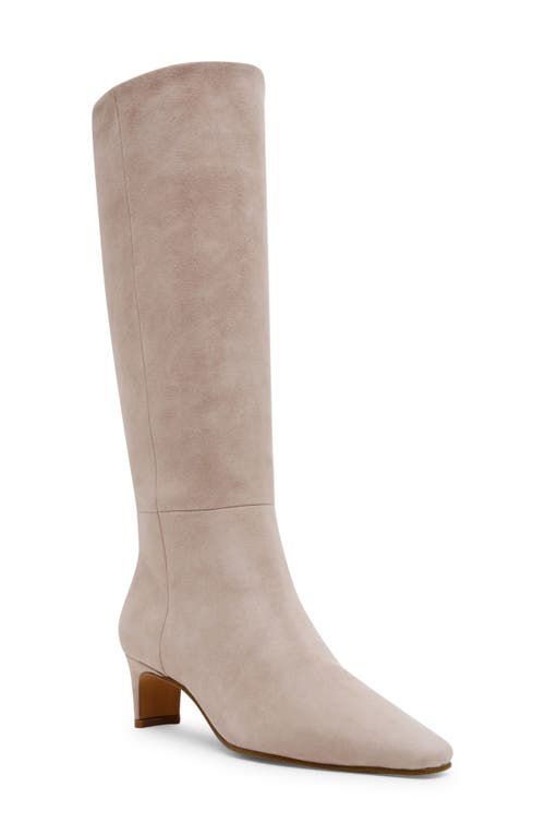 STEVE MADDEN STEVE MADDEN DAGNE KNEE HIGH BOOT 