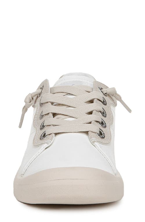 BLOWFISH FOOTWEAR BLOWFISH MALIBU BOARDWALK LOW TOP SNEAKER