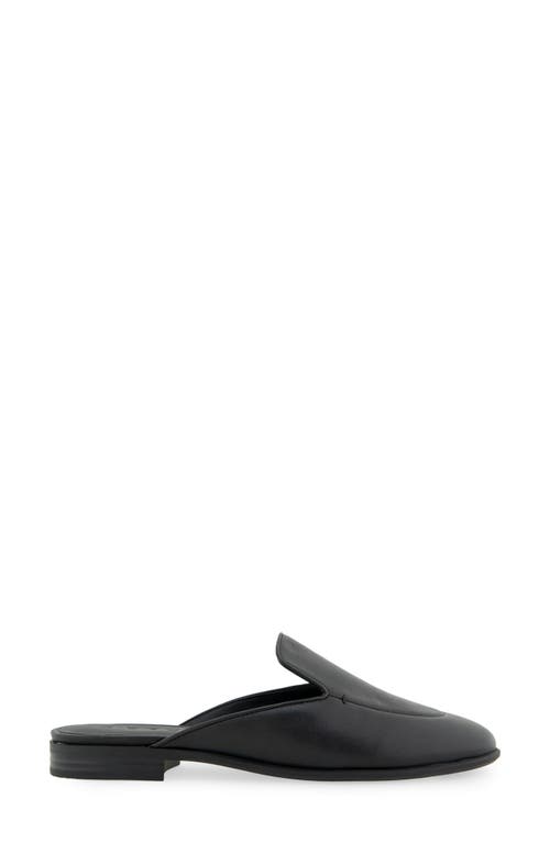 Shop Aerosoles Wilda Mule In Black Leather