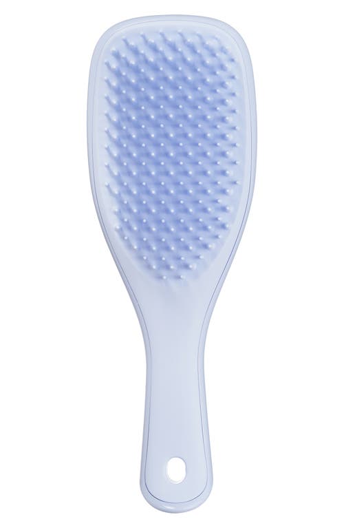 Mini Ultimate Detangling Hairbrush in Digital Lavender