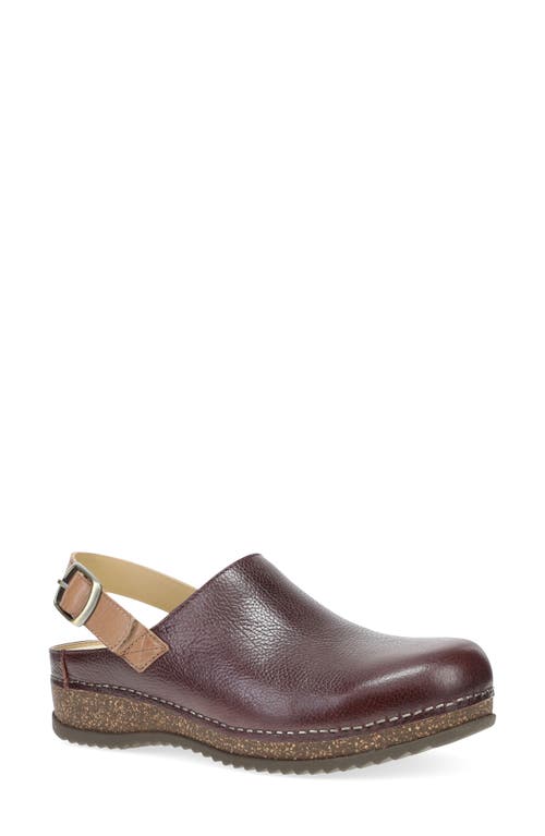 Shop Dansko Merrin Slingback Clog In Cordovan