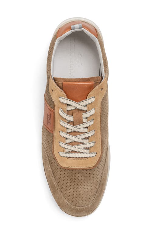 Shop Rodd & Gunn Parnell Sneaker In Sand