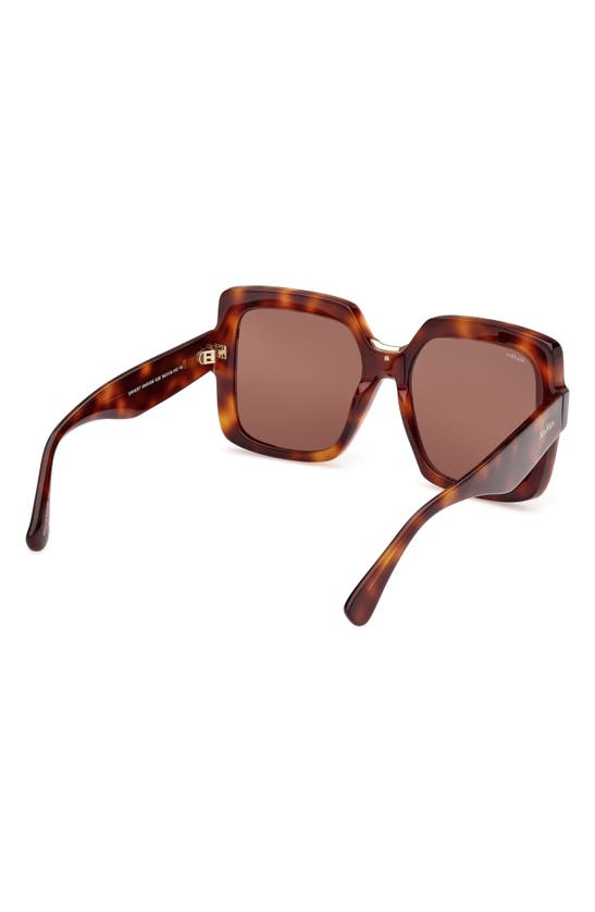 Shop Max Mara Ernest 56mm Square Sunglasses In Dark Havana / Brown