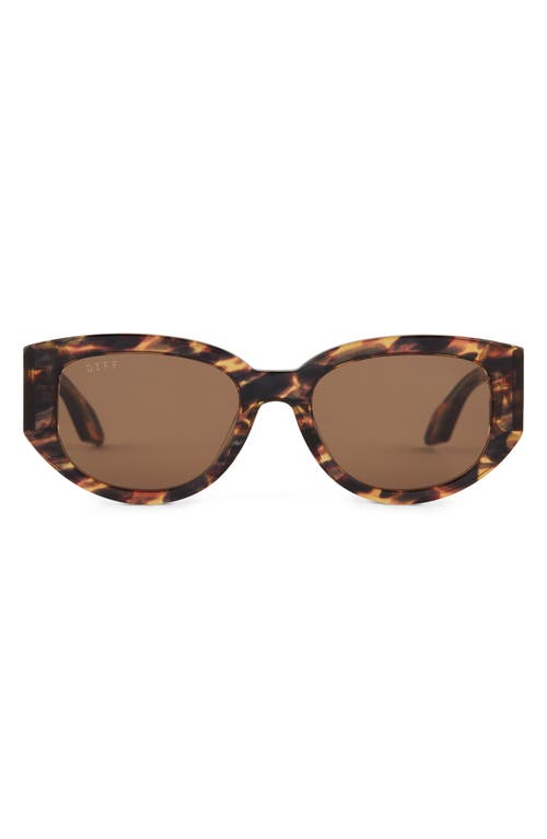 Drew 54mm Oval Sunglasses in Brown