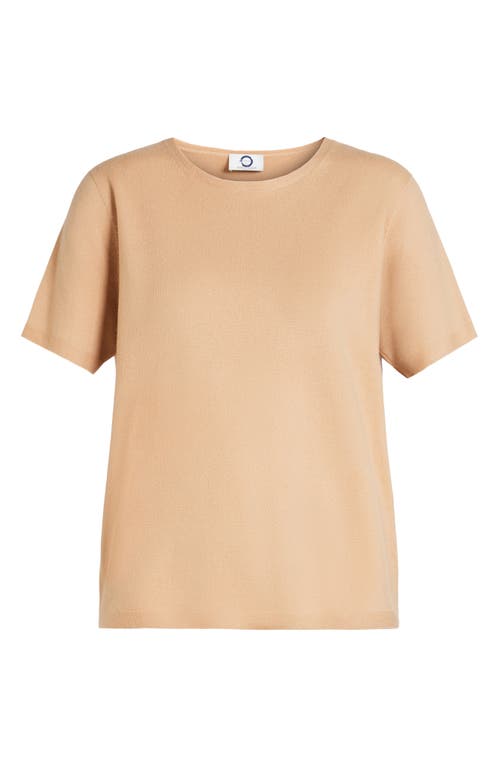 Shop Marina Rinaldi Whist Short Sleeve Cashmere Sweater In Camel