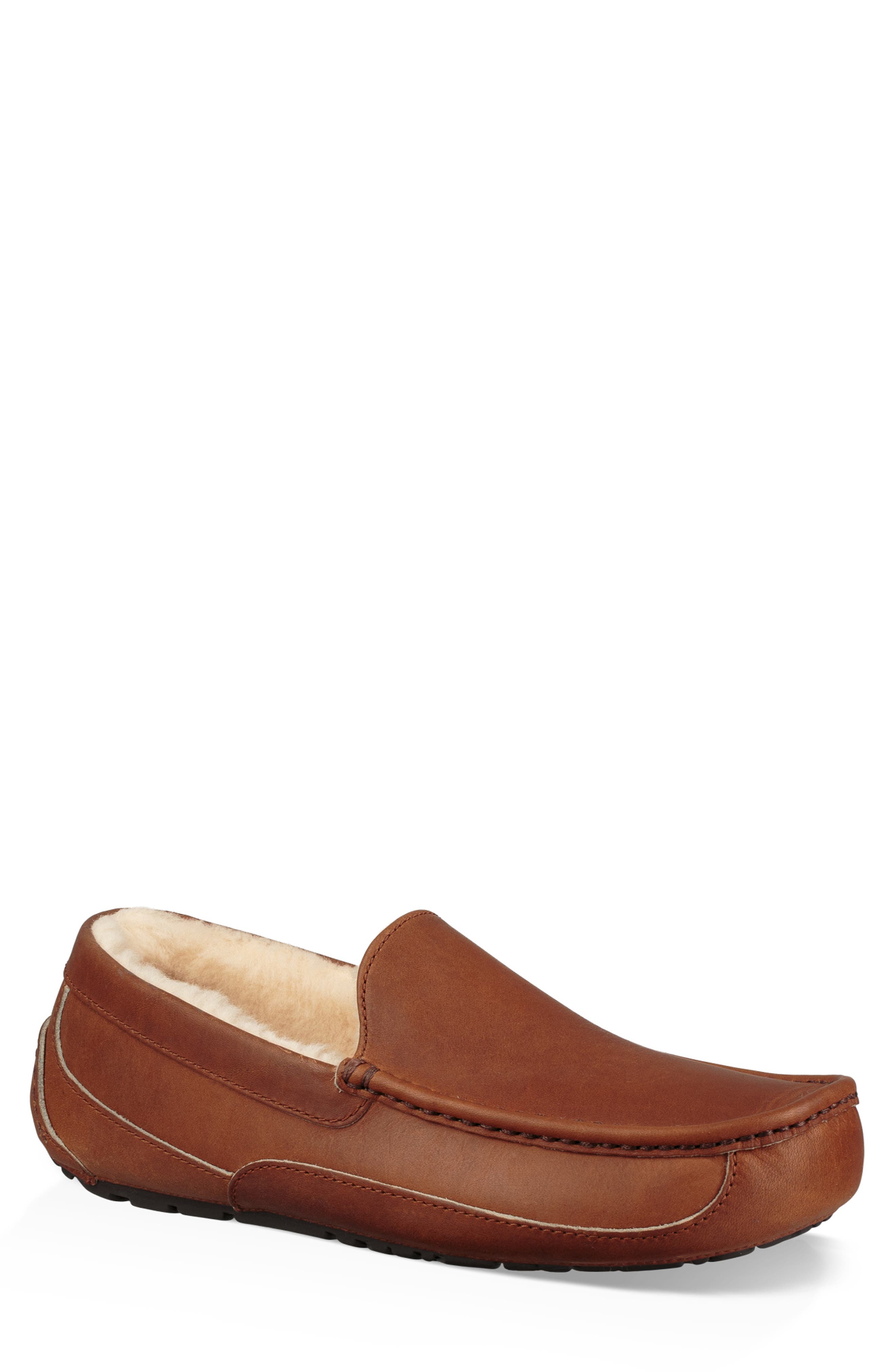 ugg ascot pinnacle slipper