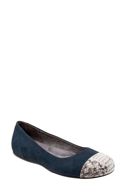 SoftWalk Sonoma Cap Toe Flat in Navy Leather