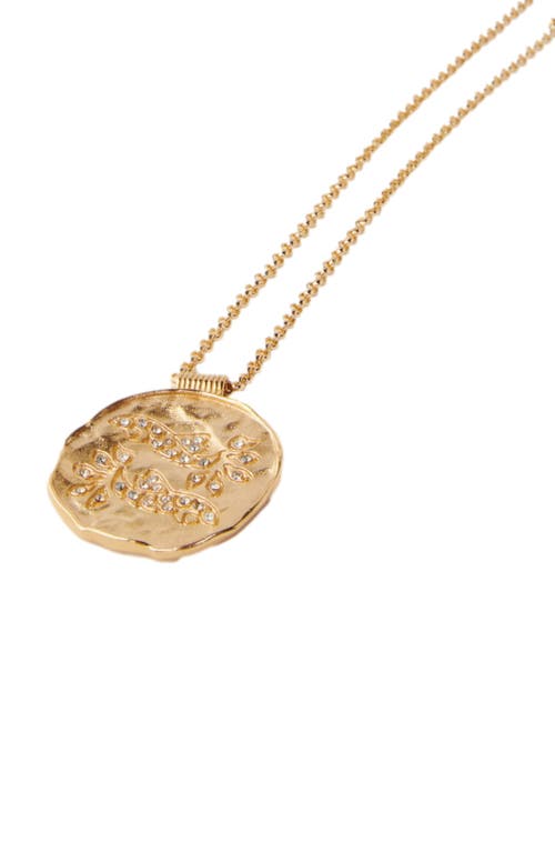 Maje Zodiac Medal In Pisces
