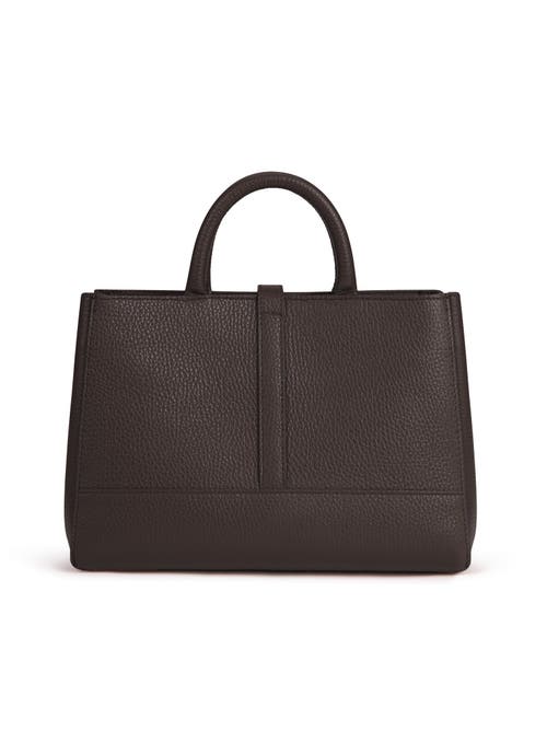 Teddy Blake Lola Stampatto 10" In Dark Brown
