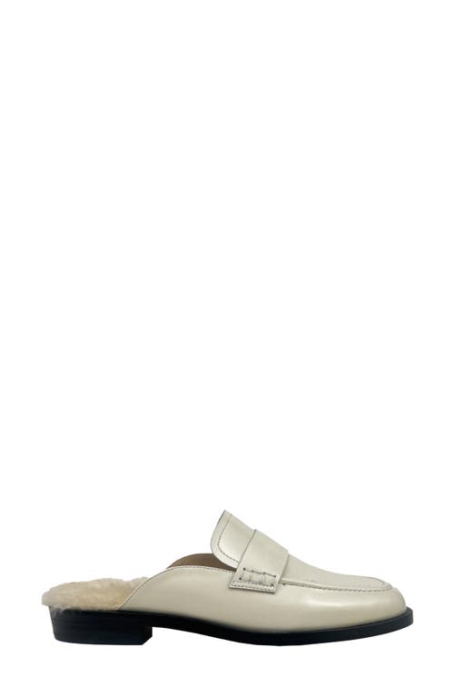 Shop Yosi Samra Odessa Genuine Shearling Lined Loafer In Bone Shearling