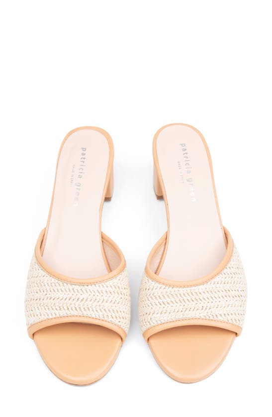 Shop Patricia Green Sienna Raffia Slide Sandal In Beige