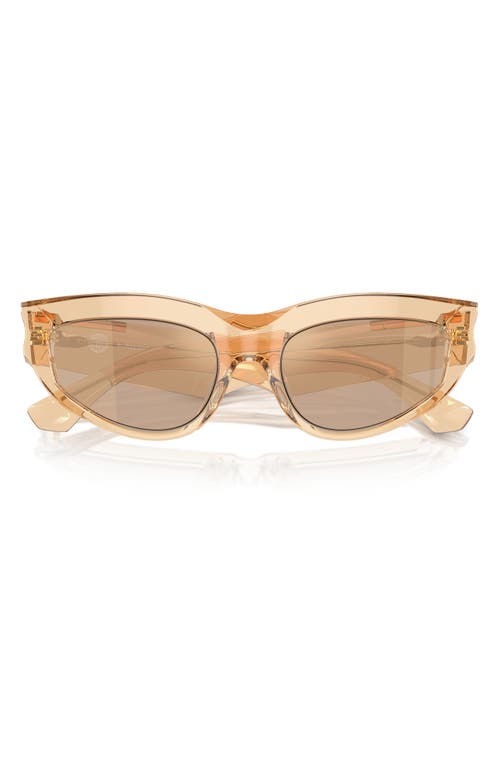 burberry 55mm Cat Eye Sunglasses in Brown at Nordstrom