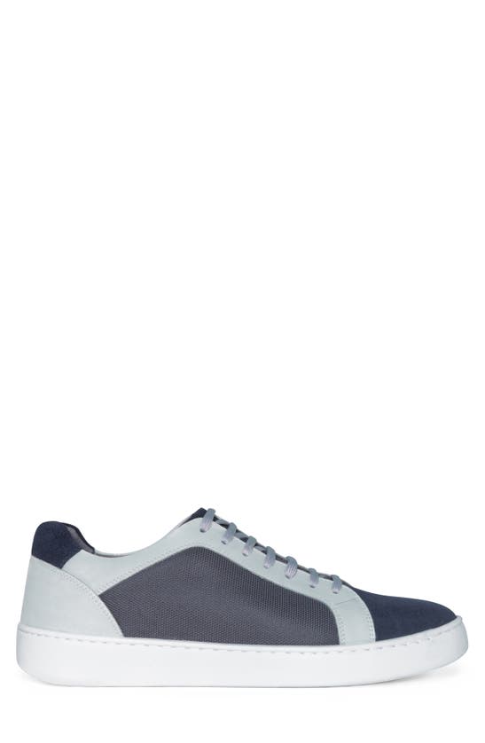 Shop Donald Pliner Archie Sneaker In Navy/ Nvy