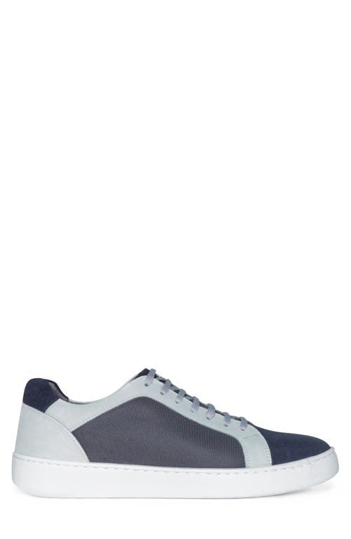 Shop Donald Pliner Archie Sneaker In Navy/nvy