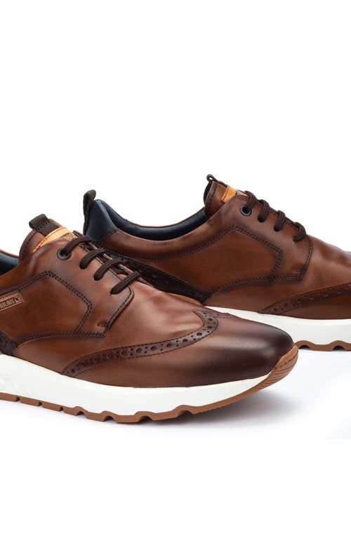 Shop Pikolinos Aranda Wingtip Derby Sneaker In Cuero