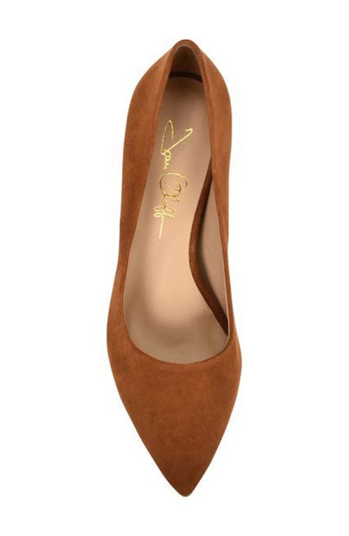 Joan Oloff Riley Pointed Toe Pump In Autumn Kid Suede