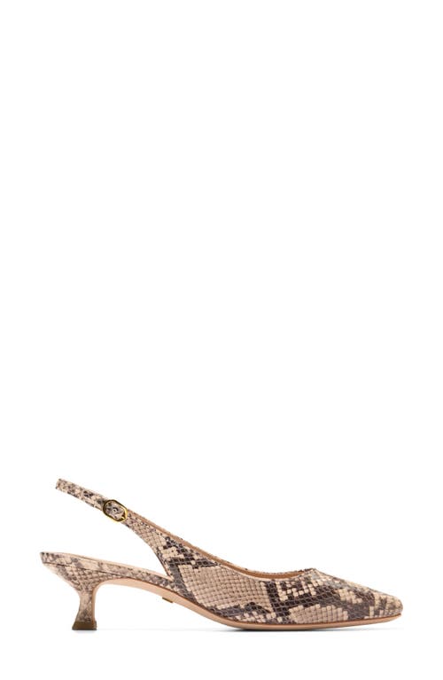 Shop Cole Haan Tayla Slingback Kitten Heel Pump In Cashmere Snake Embossed