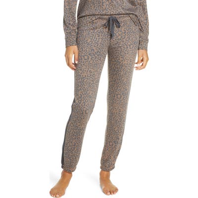 Pj Salvage Leo Sport Pajama Pants, Brown