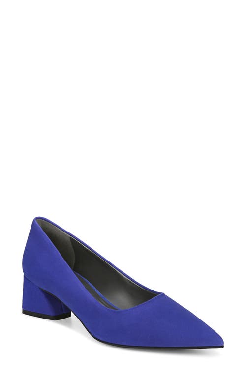 Racer Pointed Toe Pump in Blue