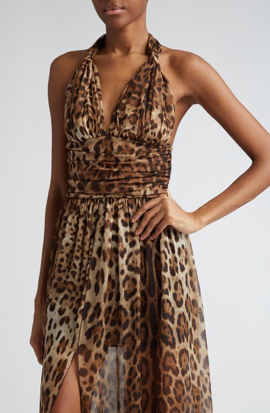 Shop Dolce & Gabbana Dolce&gabbana Leopard Print Silk Chiffon Halter Dress In Hy13m Leo New