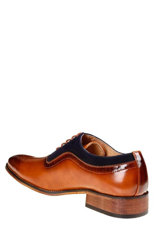Gino Vitale Wingtip Oxford In Brown/navy