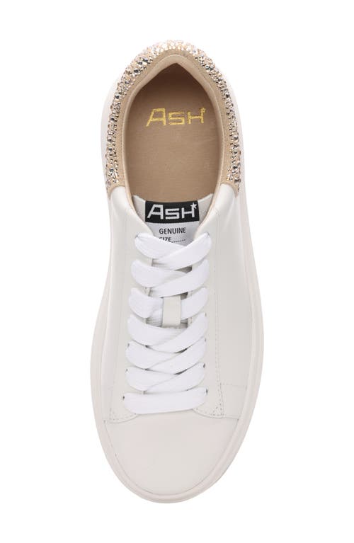 Ash Moby Sneakers In White/biscuit