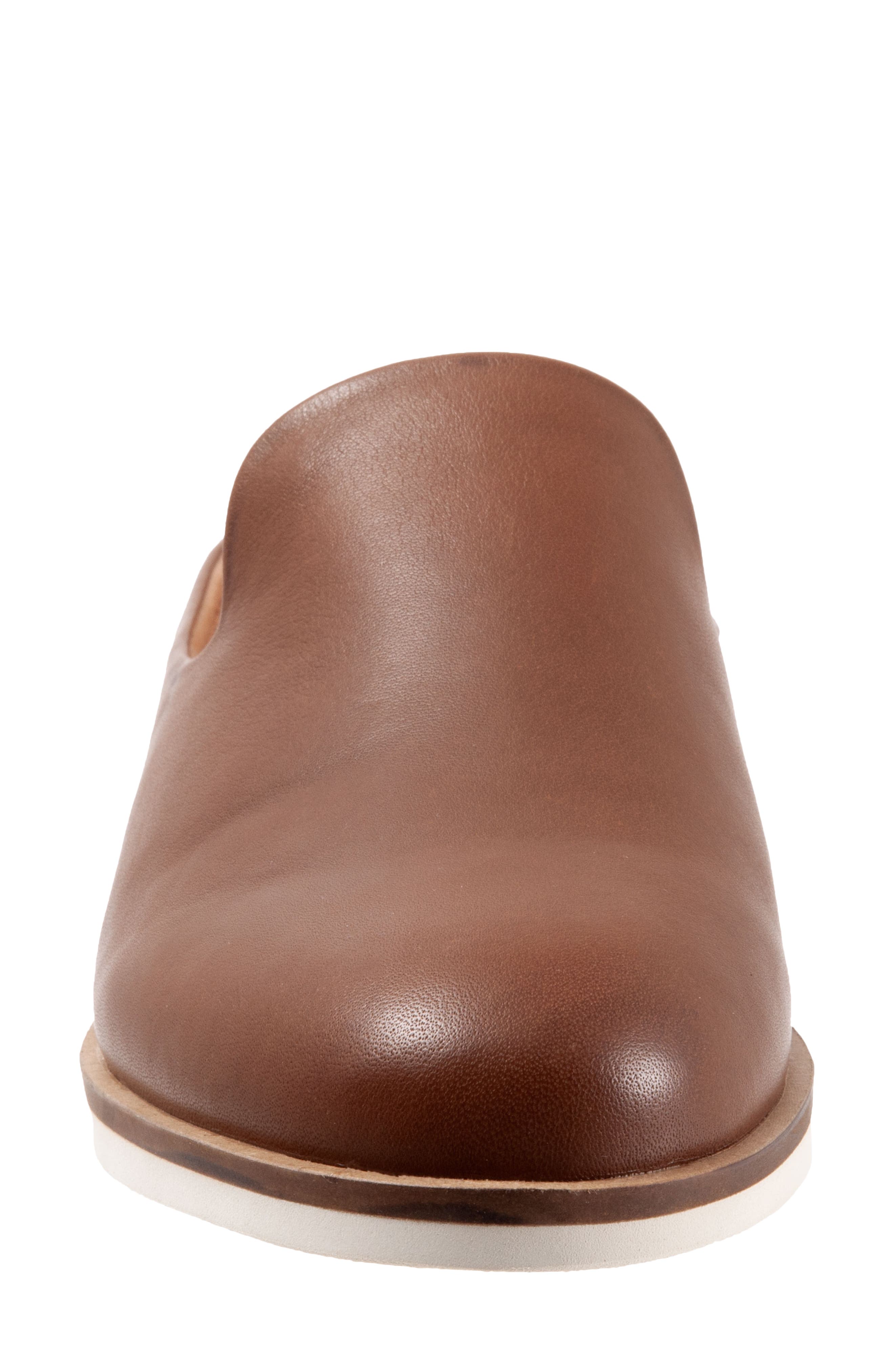 softwalk wolcott mule