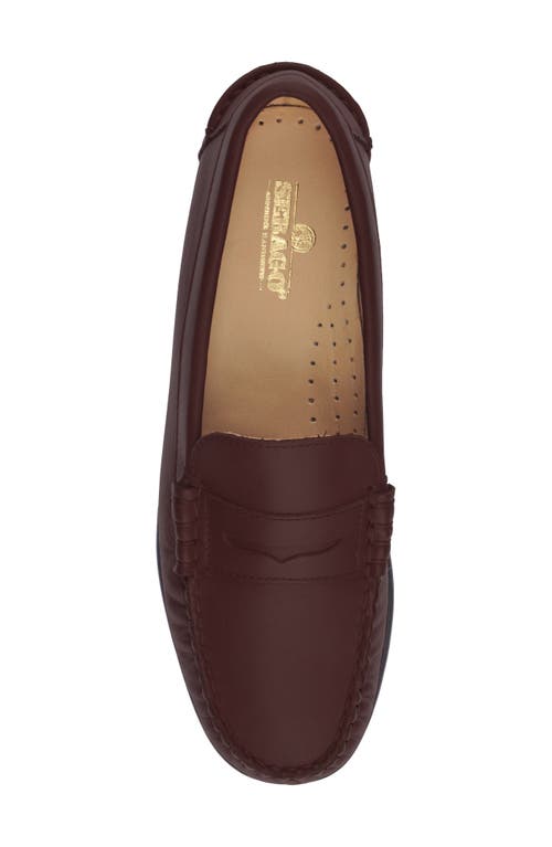 Shop Sebago Danielle Pop Loafer In Dark Brown