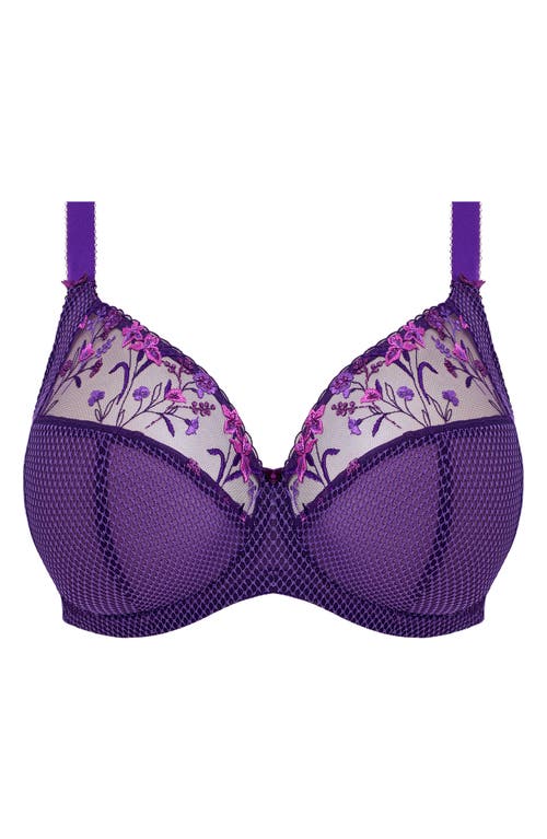 Shop Elomi Charley Full Figure Underwire Plunge Bra In Iris