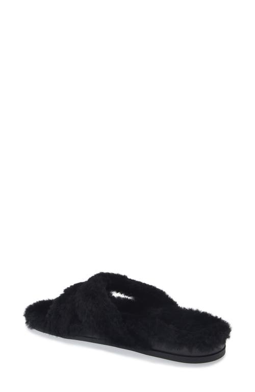 Shop Manolo Blahnik Chilpa Genuine Shearling Slide Sandal In Black