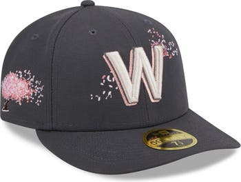 Washington Nationals New Era 2022 City Connect Low Profile 59FIFTY Fitted  Hat - Graphite