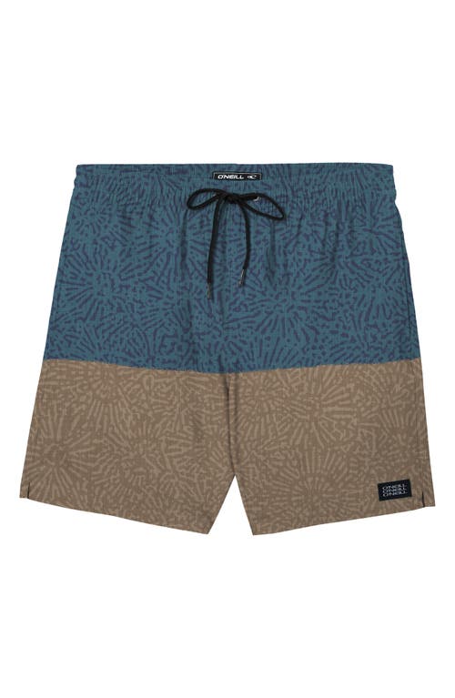 O'Neill Hermosa Board Shorts Brown 2 at Nordstrom,