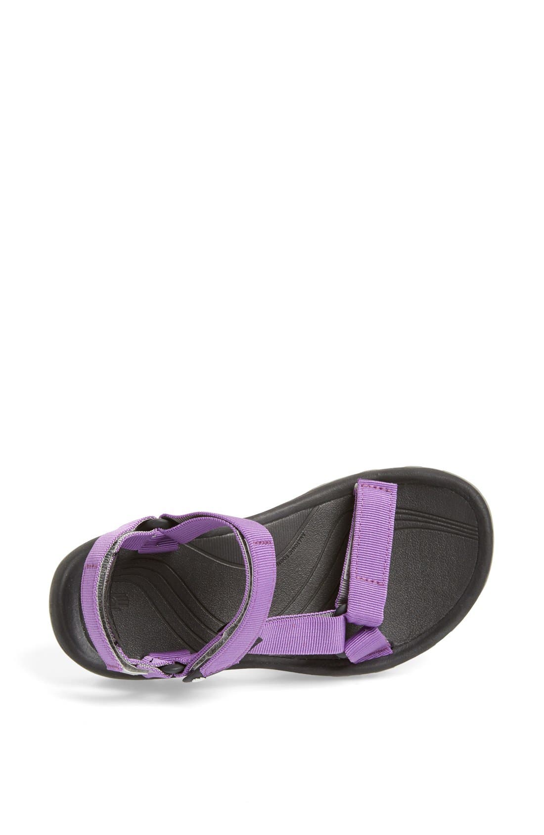 teva