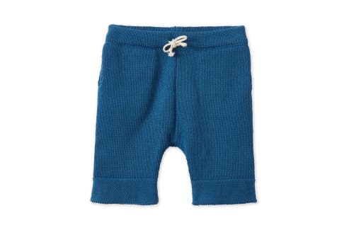 Vild House Of Little Organic Cotton Nordic Knit Shorts In Fjord Blue