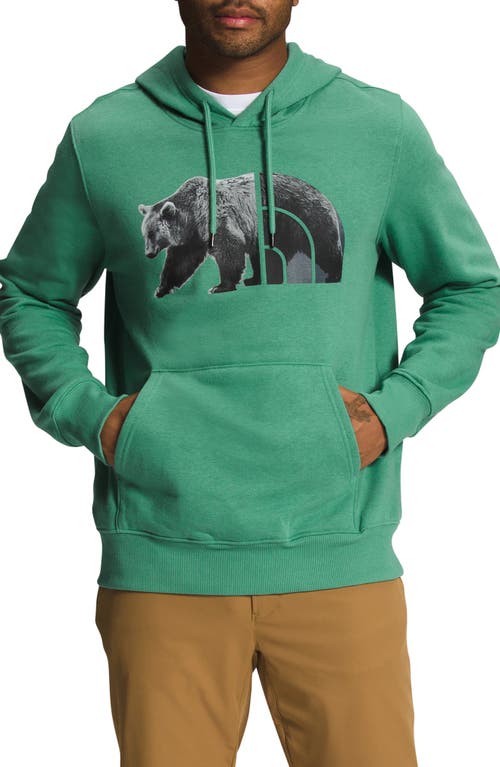 The North Face Bear Logo Hoodie Sweatshirt in Deep Grass Green/Black