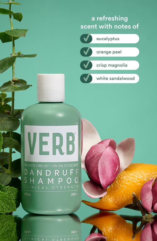 VERB VERB DANDRUFF SHAMPOO