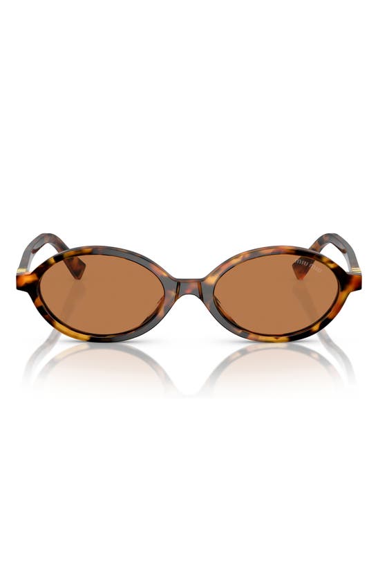 Miu Miu 50mm Oval Sunglasses In Brown