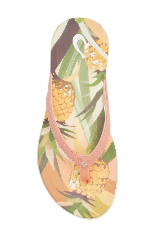 Shop Olukai Ho'opio Hau Flip Flop In Shell Coral/pineapple