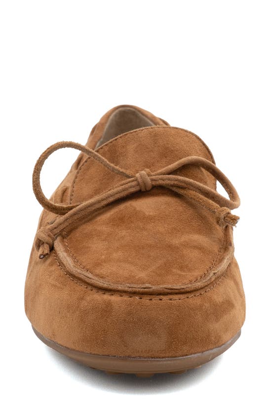Shop Amalfi By Rangoni Dubblino Driving Loafer In Cider Cashmere