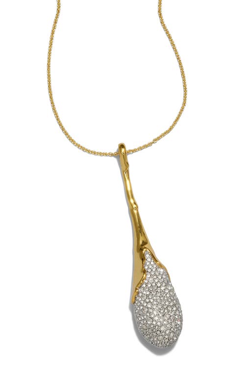 Shop Alexis Bittar Solanales Crystal Teardrop Pendant Long Necklace In Crystals