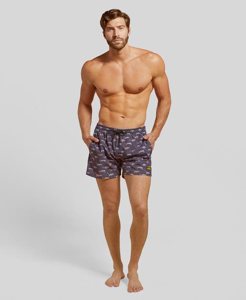 Shop Strangers Only Running Cheetah Swim Short In Charcoal/cheetah