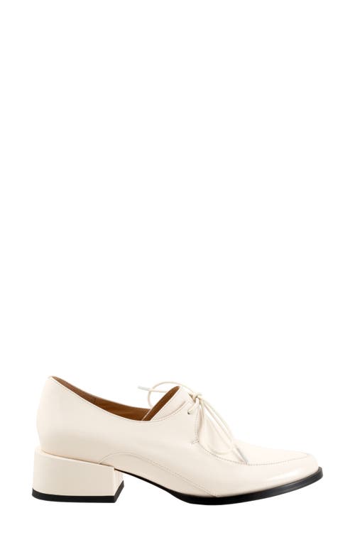 Shop Eos Footwear Casi Derby In Bone Patent