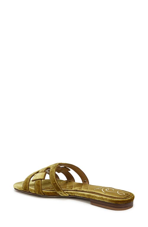 Shop Sam Edelman Bay Honore Slide Sandal In Green Chartreuse