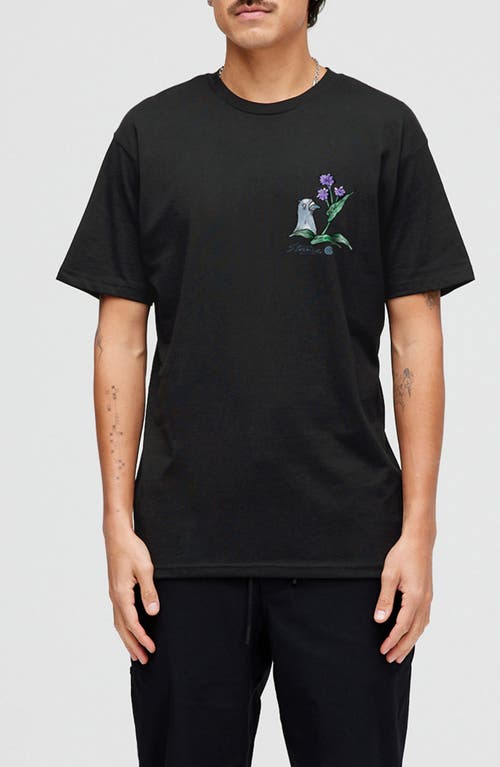 Pigeon Street Cotton Graphic T-Shirt in Black