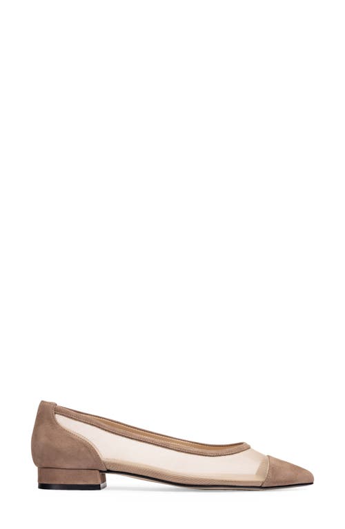 Shop Jon Josef Ray Pointed Toe Flat In Haze Suede Combo