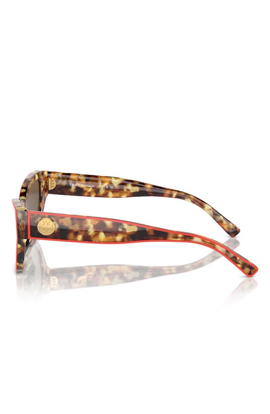 Tory Burch 54mm Cat Eye Sunglasses In Dark Brown